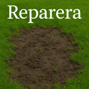 Bild av gräsmatta med en jordplätt. Gräsfrö Reparera.