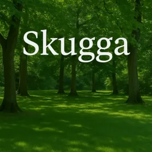 Bild över skuggiga markytor i en park