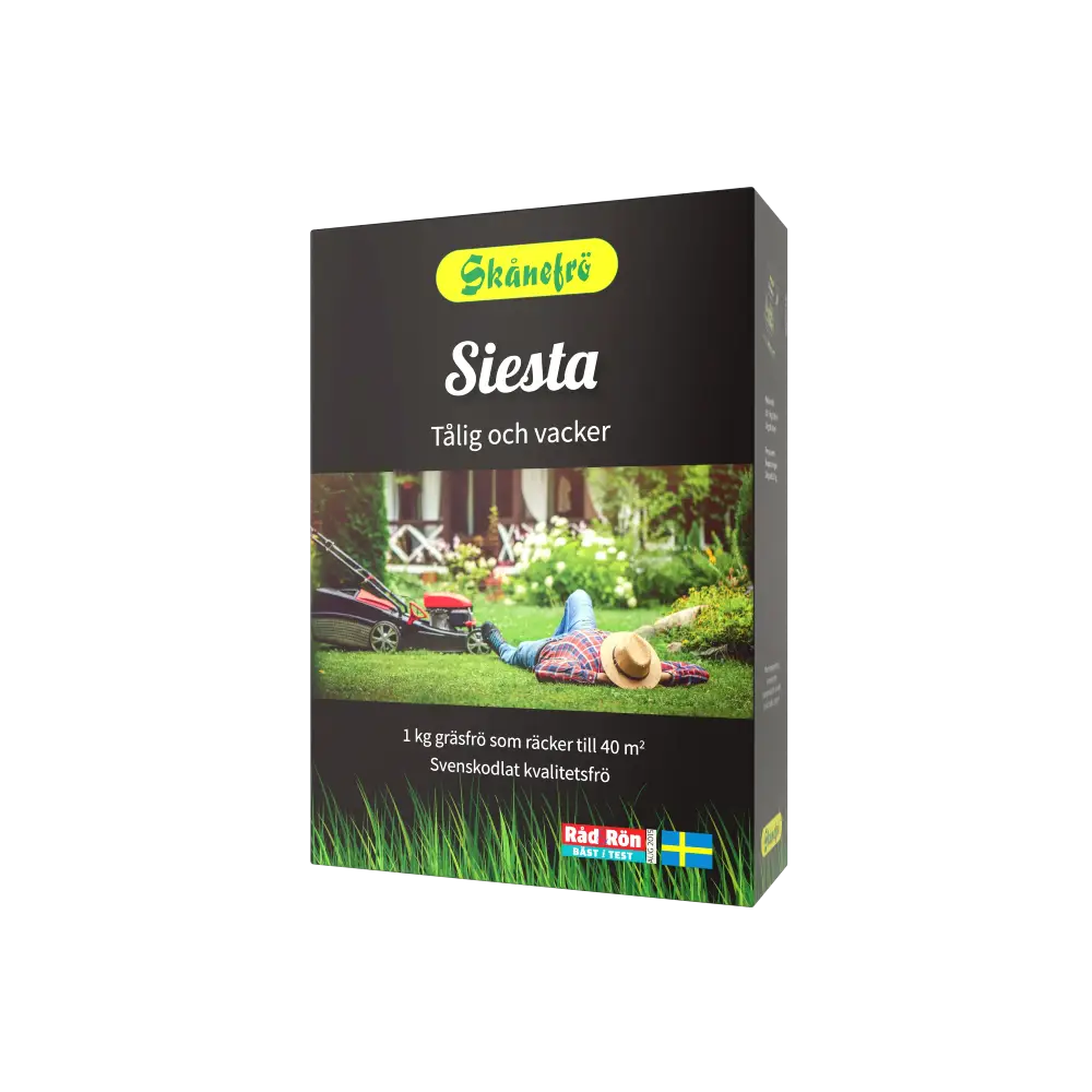 Bild på 1kg frö Siesta i kartong